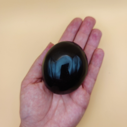 Sort Obsidian Palm
