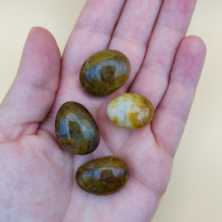 Golden Healer Lommesten