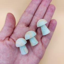 Mini Svampe i Calcit