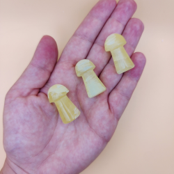 Mini Svampe i Calcit