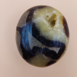 Septarian Palm