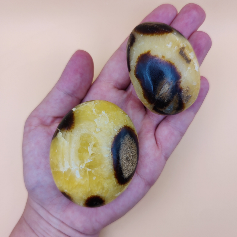 Septarian Palm