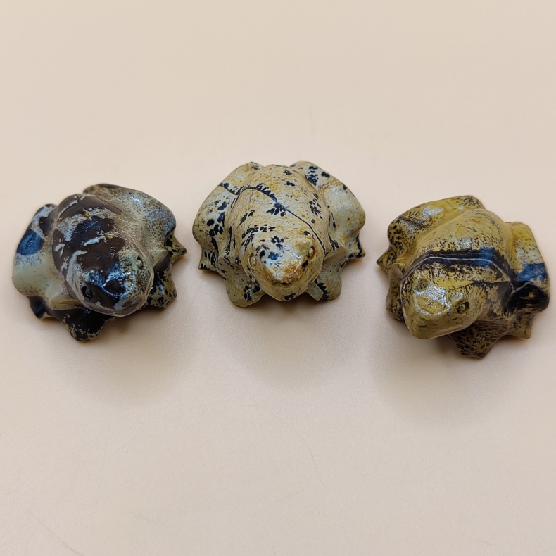Picture Jasper Fr