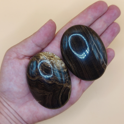 Chokolade Calcit palm