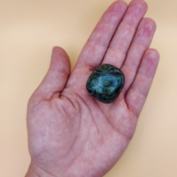 Kambaba Jasper Lommesten