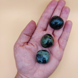 Kambaba Jasper Lommesten