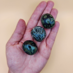 Kambaba Jasper Lommesten