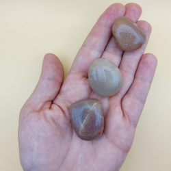 Fersken Mnesten Lommesten