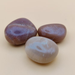 Fersken Mnesten Lommesten