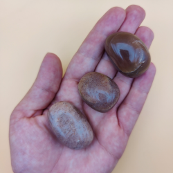 Fersken Mnesten Lommesten