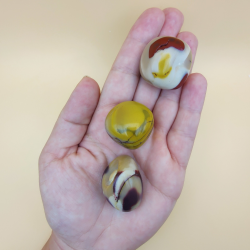 Mookait Jasper Lommesten 