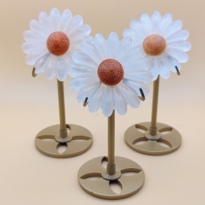 Marguerit Blomst P Holder 