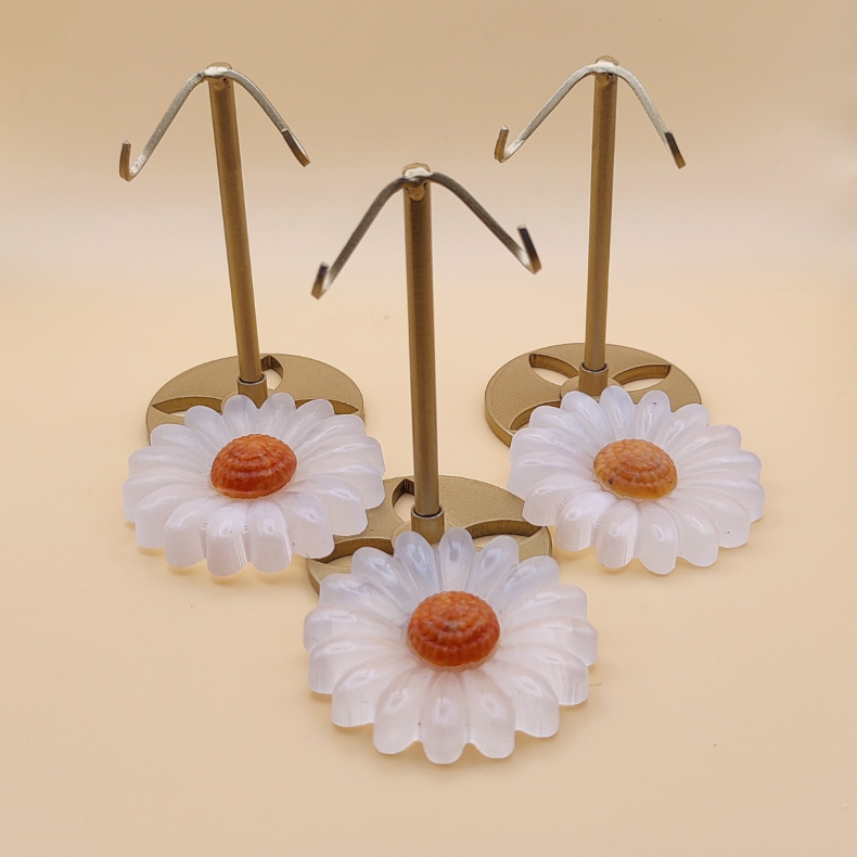 Marguerit Blomst P� Holder 