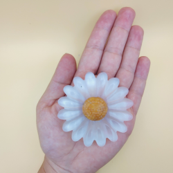 Marguerit Blomst P Holder 