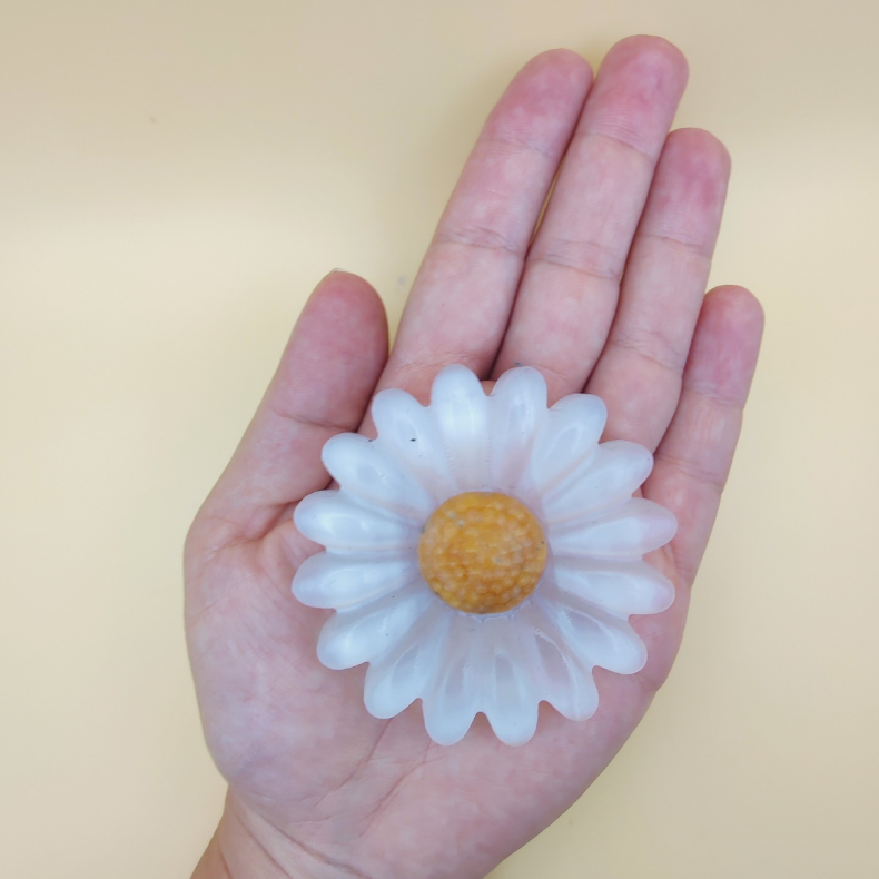 Marguerit Blomst P� Holder 