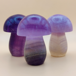 Stor Lilla Fluorit Svarmp