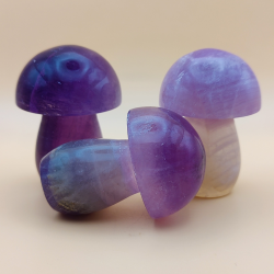 Stor Lilla Fluorit Svarmp