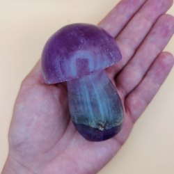 Stor Lilla Fluorit Svarmp