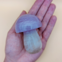 Stor Lilla Fluorit Svarmp