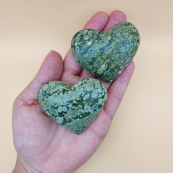 Regnskov Jasper Hjerte