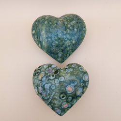 Regnskov Jasper Hjerte