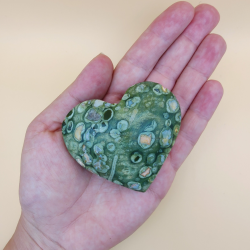 Regnskov Jasper Hjerte