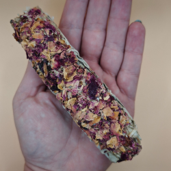 Rgelse Hvid Salvie med kastiljerose