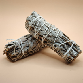 R�gelse Hvid Salvie