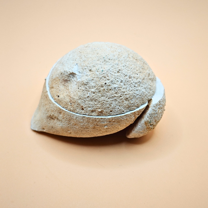 Agat Geode