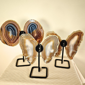 Agat Sommerfugl p� stander