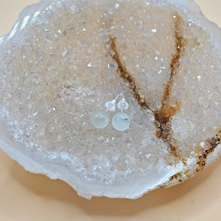 restikker i Hvid Mnesten 