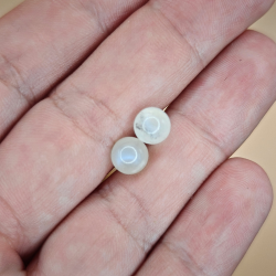 restikker i Hvid Mnesten 