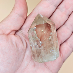 Citrin Trne Champagne Farvet