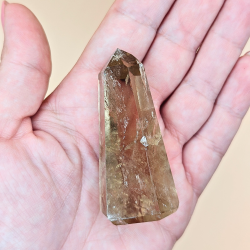 Citrin Trne Champagne Farvet