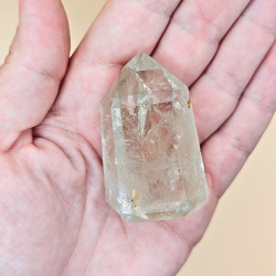 Citrin Trne Champagne Farvet