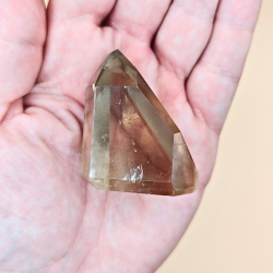 Citrin Trne Champagne Farvet