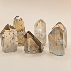 Citrin Trne Champagne Farvet