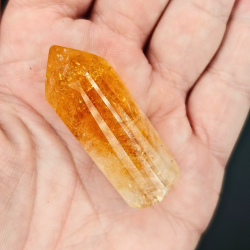 Citrin Trne (Brndt)  Brasilien