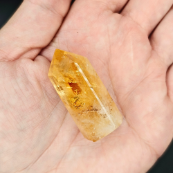 Citrin Trne (Brndt)  Brasilien