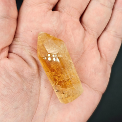 Citrin Trne (Brndt)  Brasilien