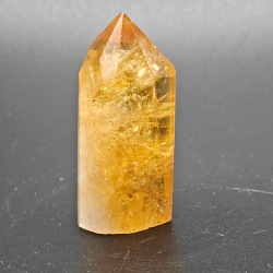 Citrin Trne (Brndt)  Brasilien