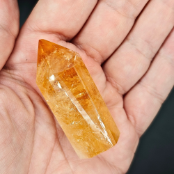 Citrin Trne (Brndt)  Brasilien