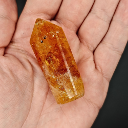 Citrin Trne (Brndt)  Brasilien