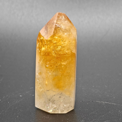 Citrin Trne (Brndt)  Brasilien