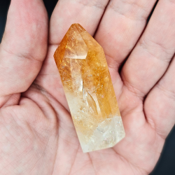 Citrin Trne (Brndt)  Brasilien