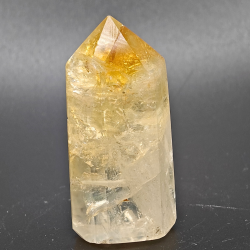 Citrin Trne (Brndt)  Brasilien