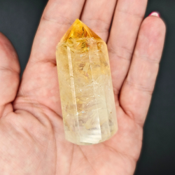 Citrin Trne (Brndt)  Brasilien