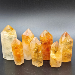 Citrin Trne (Brndt)  Brasilien