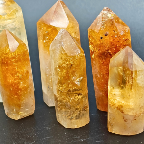 Citrin T�rne (Br�ndt) � Brasilien