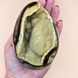  Septarian g  med eller uden Druzy/Sukker